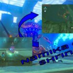 namika ozz shrine featured image